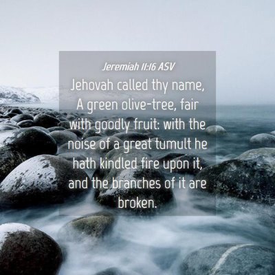 Picture 04 - Jeremiah 11:16 ASV - Jehovah called thy name, A green olive-tree, fair - Bible Verse Picture