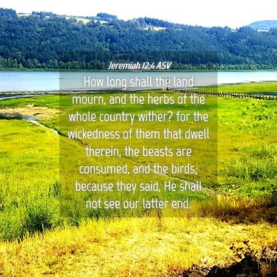 Picture 04 - Jeremiah 12:4 ASV - How long shall the land mourn, and the herbs of - Bible Verse Picture