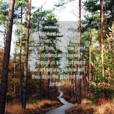 Picture 04 - Jeremiah 12:5 ASV - If thou hast run with the footmen, and they have - Bible Verse Picture