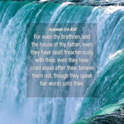 Picture 04 - Jeremiah 12:6 ASV - For even thy brethren, and the house of thy - Bible Verse Picture