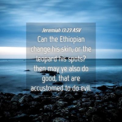 Picture 04 - Jeremiah 13:23 ASV - Can the Ethiopian change his skin, or the leopard - Bible Verse Picture