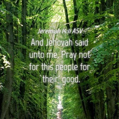 Picture 04 - Jeremiah 14:11 ASV - And Jehovah said unto me, Pray not for this - Bible Verse Picture