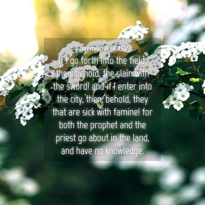 Picture 04 - Jeremiah 14:18 ASV - If I go forth into the field, then, behold, the - Bible Verse Picture
