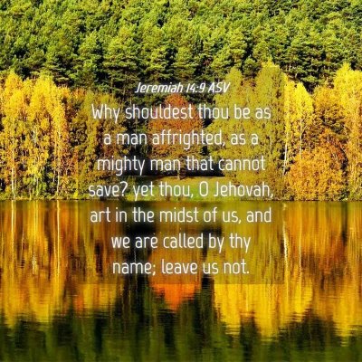 Picture 04 - Jeremiah 14:9 ASV - Why shouldest thou be as a man affrighted, as a - Bible Verse Picture
