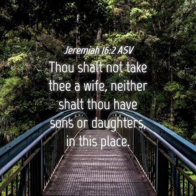 Picture 04 - Jeremiah 16:2 ASV - Thou shalt not take thee a wife, neither shalt - Bible Verse Picture