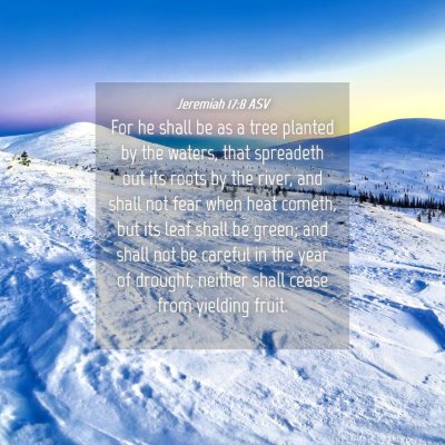 Picture 04 - Jeremiah 17:8 ASV - For he shall be as a tree planted by the waters, - Bible Verse Picture