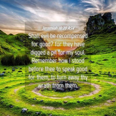 Picture 04 - Jeremiah 18:20 ASV - Shall evil be recompensed for good? for they have - Bible Verse Picture