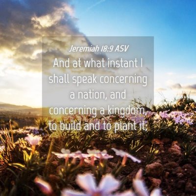 Picture 04 - Jeremiah 18:9 ASV - And at what instant I shall speak concerning a - Bible Verse Picture