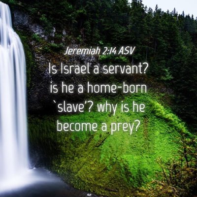 Picture 04 - Jeremiah 2:14 ASV - Is Israel a servant? is he a home-born `slave'? - Bible Verse Picture
