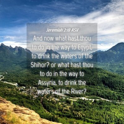 Picture 04 - Jeremiah 2:18 ASV - And now what hast thou to do in the way to Egypt, - Bible Verse Picture