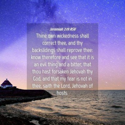Picture 04 - Jeremiah 2:19 ASV - Thine own wickedness shall correct thee, and thy - Bible Verse Picture