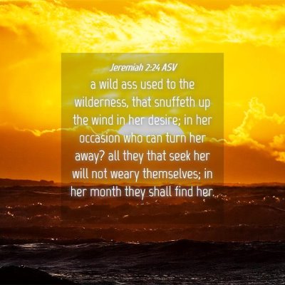 Picture 04 - Jeremiah 2:24 ASV - a wild ass used to the wilderness, that snuffeth - Bible Verse Picture