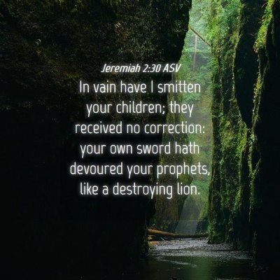 Picture 04 - Jeremiah 2:30 ASV - In vain have I smitten your children; they - Bible Verse Picture
