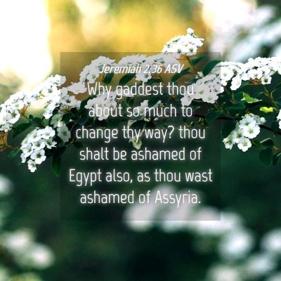 Picture 04 - Jeremiah 2:36 ASV - Why gaddest thou about so much to change thy way? - Bible Verse Picture