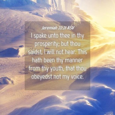 Picture 04 - Jeremiah 22:21 ASV - I spake unto thee in thy prosperity; but thou - Bible Verse Picture