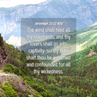 Picture 04 - Jeremiah 22:22 ASV - The wind shall feed all thy shepherds, and thy - Bible Verse Picture
