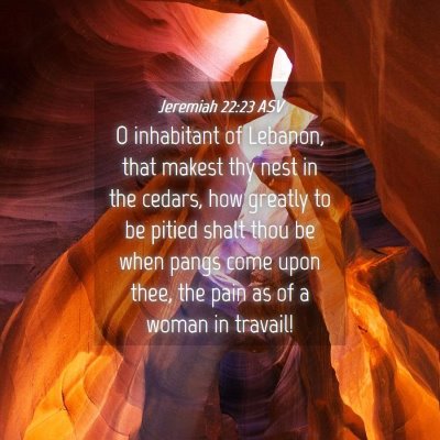 Picture 04 - Jeremiah 22:23 ASV - O inhabitant of Lebanon, that makest thy nest in - Bible Verse Picture
