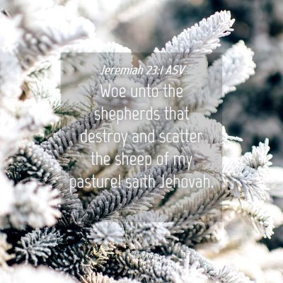 Picture 04 - Jeremiah 23:1 ASV - Woe unto the shepherds that destroy and scatter - Bible Verse Picture