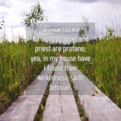 Picture 04 - Jeremiah 23:11 ASV - for both prophet and priest are profane; yea, in - Bible Verse Picture