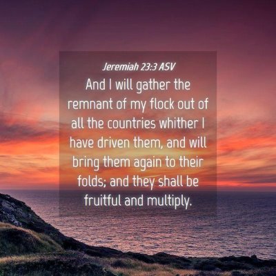 Picture 04 - Jeremiah 23:3 ASV - And I will gather the remnant of my flock out of - Bible Verse Picture