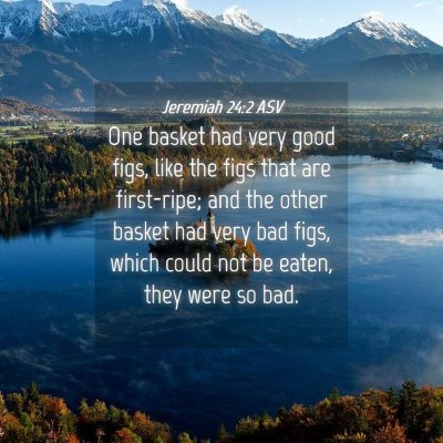 Picture 04 - Jeremiah 24:2 ASV - One basket had very good figs, like the figs that - Bible Verse Picture