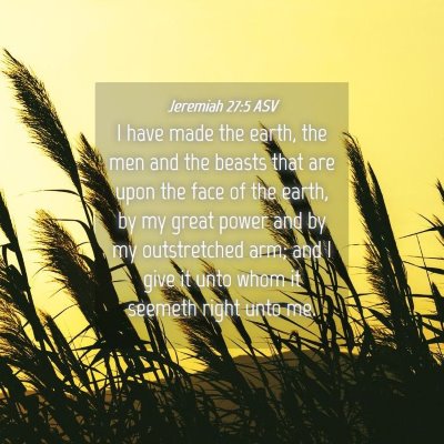 Picture 04 - Jeremiah 27:5 ASV - I have made the earth, the men and the beasts - Bible Verse Picture
