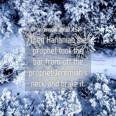 Picture 04 - Jeremiah 28:10 ASV - Then Hananiah the prophet took the bar from off - Bible Verse Picture