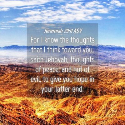 Picture 04 - Jeremiah 29:11 ASV - For I know the thoughts that I think toward you, - Bible Verse Picture