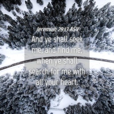 Picture 04 - Jeremiah 29:13 ASV - And ye shall seek me, and find me, when ye shall - Bible Verse Picture