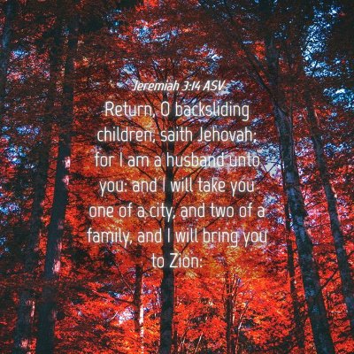 Picture 04 - Jeremiah 3:14 ASV - Return, O backsliding children, saith Jehovah; - Bible Verse Picture