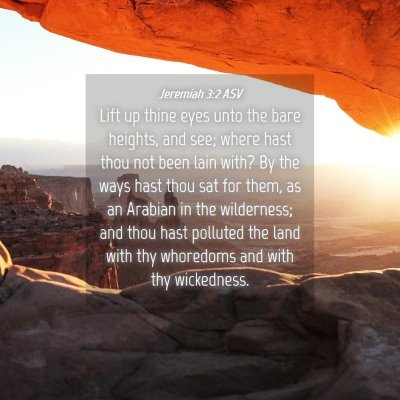Picture 04 - Jeremiah 3:2 ASV - Lift up thine eyes unto the bare heights, and - Bible Verse Picture