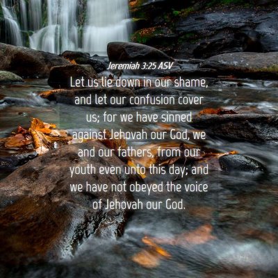 Picture 04 - Jeremiah 3:25 ASV - Let us lie down in our shame, and let our - Bible Verse Picture