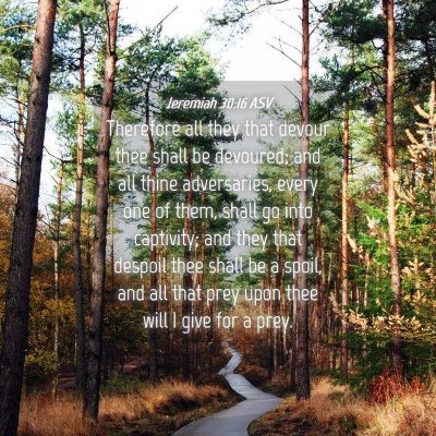 Picture 04 - Jeremiah 30:16 ASV - Therefore all they that devour thee shall be - Bible Verse Picture