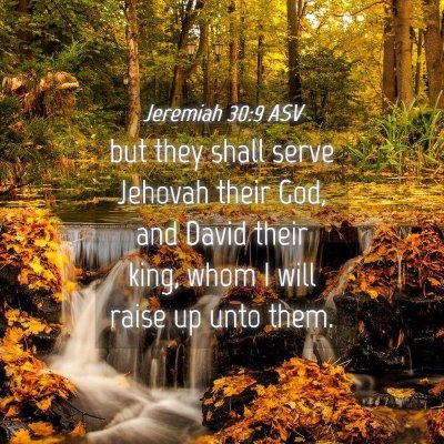 Picture 04 - Jeremiah 30:9 ASV - but they shall serve Jehovah their God, and David - Bible Verse Picture