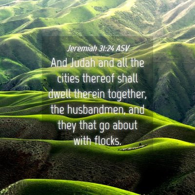 Picture 04 - Jeremiah 31:24 ASV - And Judah and all the cities thereof shall dwell - Bible Verse Picture