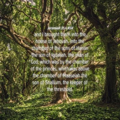Picture 04 - Jeremiah 35:4 ASV - and I brought them into the house of Jehovah, - Bible Verse Picture