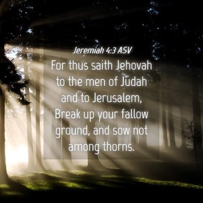 Picture 04 - Jeremiah 4:3 ASV - For thus saith Jehovah to the men of Judah and to - Bible Verse Picture