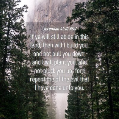 Picture 04 - Jeremiah 42:10 ASV - If ye will still abide in this land, then will I - Bible Verse Picture