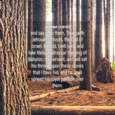 Picture 04 - Jeremiah 43:10 ASV - and say unto them, Thus saith Jehovah of hosts, - Bible Verse Picture