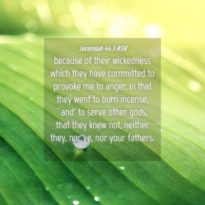 Picture 04 - Jeremiah 44:3 ASV - because of their wickedness which they have - Bible Verse Picture