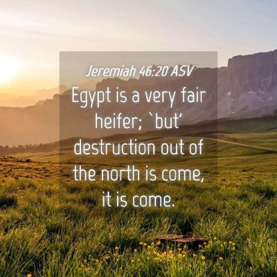Picture 04 - Jeremiah 46:20 ASV - Egypt is a very fair heifer; `but' destruction - Bible Verse Picture