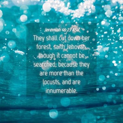 Picture 04 - Jeremiah 46:23 ASV - They shall cut down her forest, saith Jehovah, - Bible Verse Picture