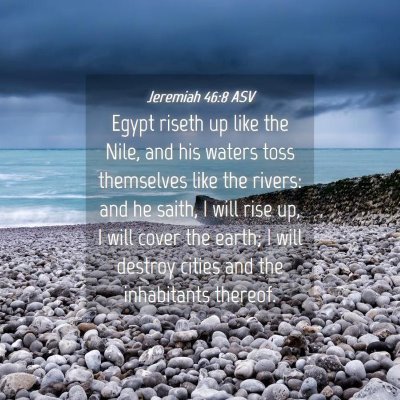 Picture 04 - Jeremiah 46:8 ASV - Egypt riseth up like the Nile, and his waters - Bible Verse Picture