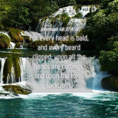 Picture 04 - Jeremiah 48:37 ASV - For every head is bald, and every beard clipped: - Bible Verse Picture