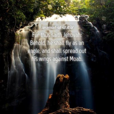 Picture 04 - Jeremiah 48:40 ASV - For thus saith Jehovah: Behold, he shall fly as - Bible Verse Picture