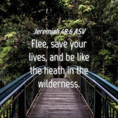 Picture 04 - Jeremiah 48:6 ASV - Flee, save your lives, and be like the heath in - Bible Verse Picture