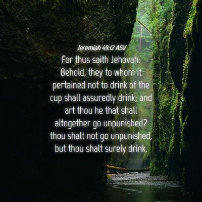 Picture 04 - Jeremiah 49:12 ASV - For thus saith Jehovah: Behold, they to whom it - Bible Verse Picture