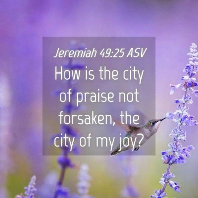 Picture 04 - Jeremiah 49:25 ASV - How is the city of praise not forsaken, the city - Bible Verse Picture