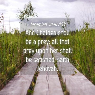 Picture 04 - Jeremiah 50:10 ASV - And Chaldea shall be a prey: all that prey upon - Bible Verse Picture