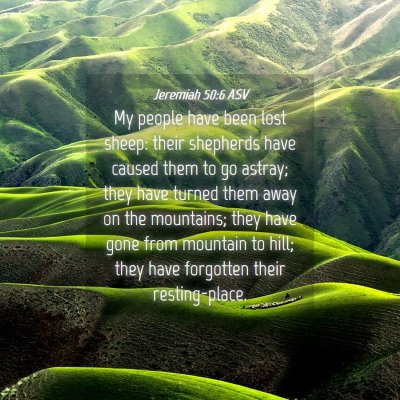 Picture 04 - Jeremiah 50:6 ASV - My people have been lost sheep: their shepherds - Bible Verse Picture